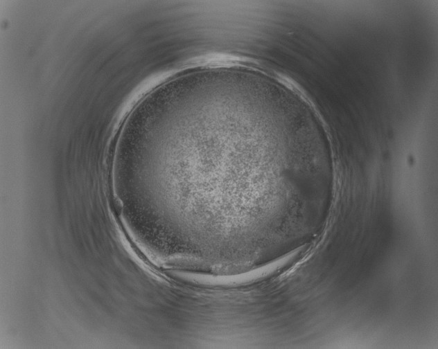 X0000056371429200508291349