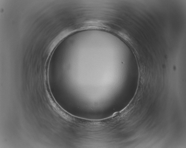 X0000056371431200508291349