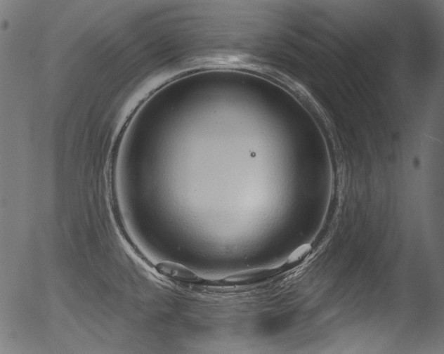 X0000056371432200508291349