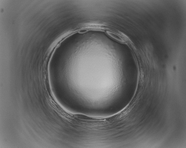 X0000056371435200508291349