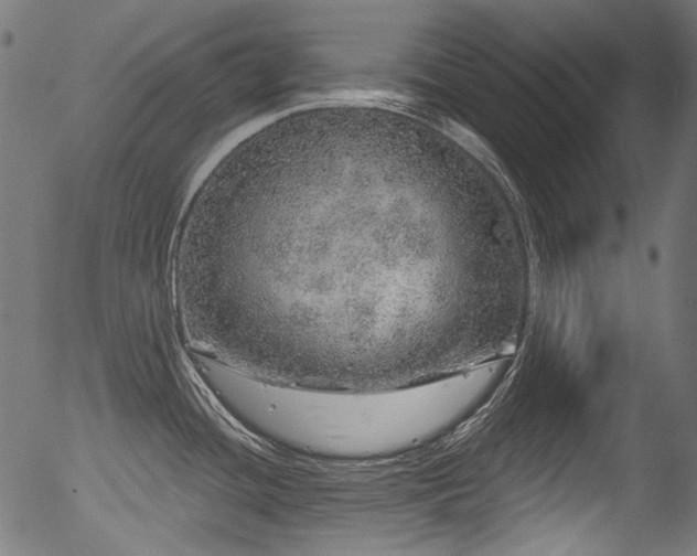 X0000056371436200508291349