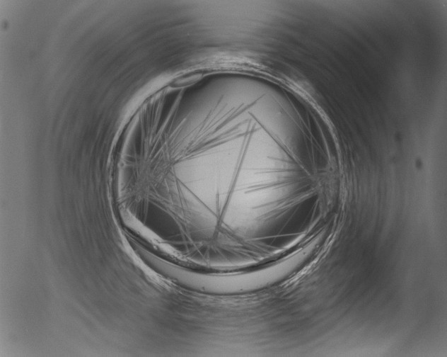 X0000056371437200508291349