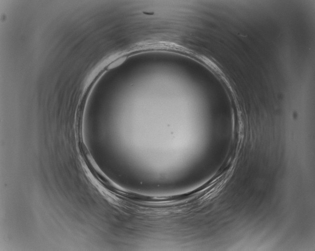 X0000056371438200508291349