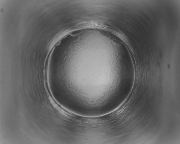 X0000056371439200508291349