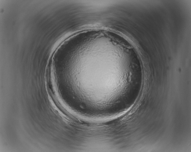 X0000056371440200508291349