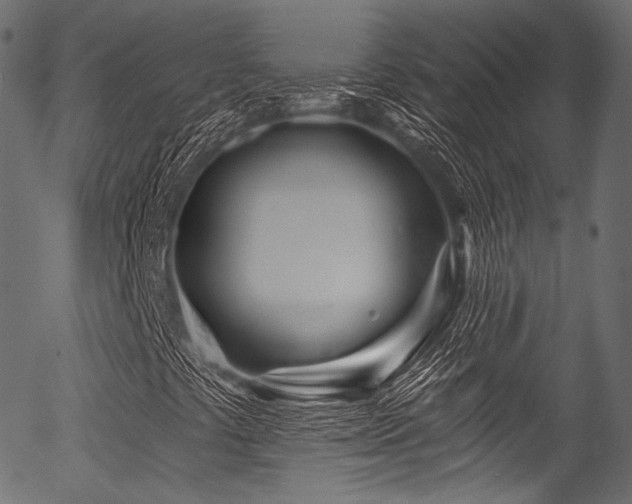 X0000056371441200508291348