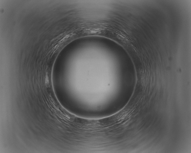 X0000056371442200508291348