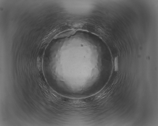 X0000056371443200508291348