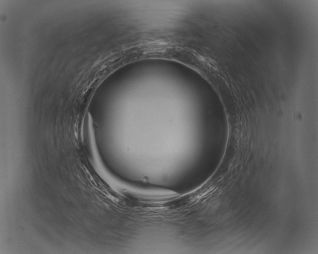 X0000056371445200508291348