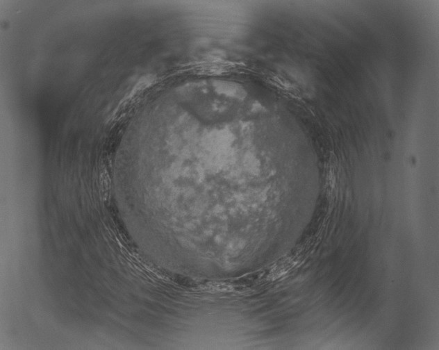 X0000056371446200508291348