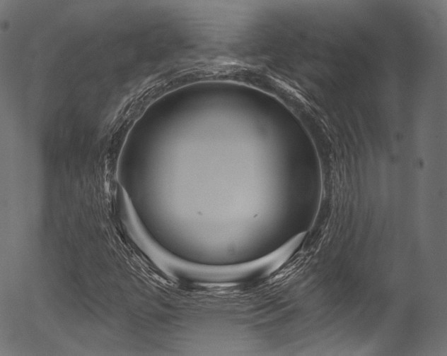 X0000056371447200508291348