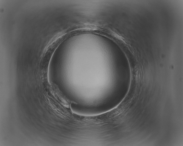 X0000056371448200508291348