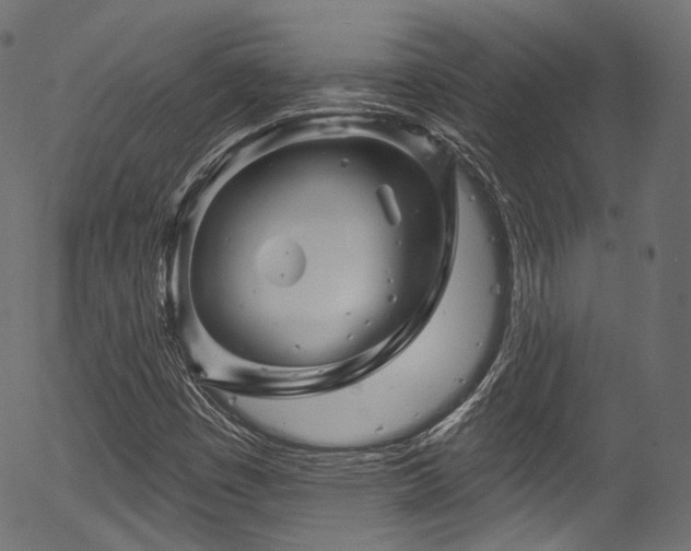 X0000056371449200508291348