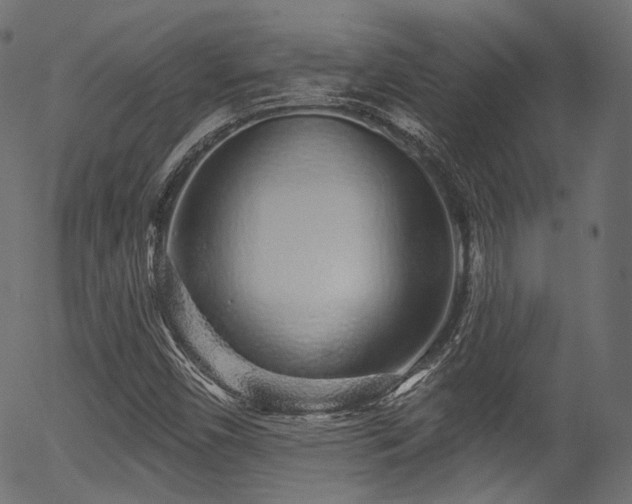 X0000056371450200508291348