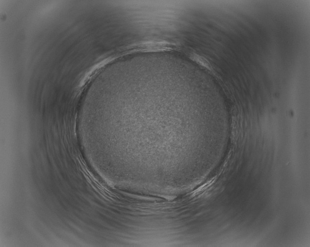 X0000056371451200508291348