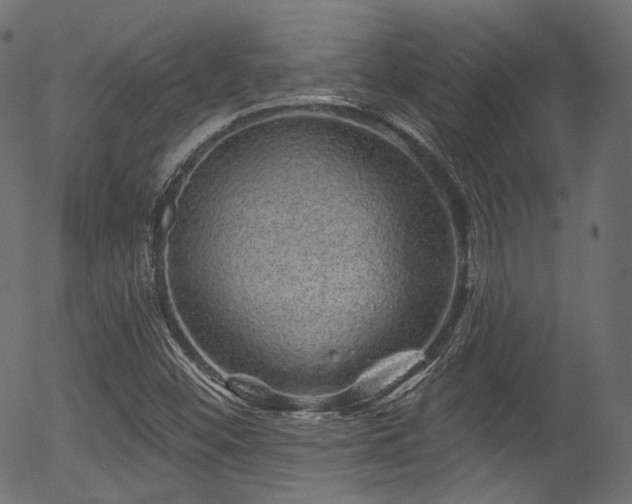 X0000056371452200508291348