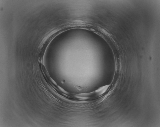 X0000056371453200508291348