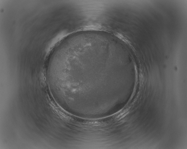 X0000056371454200508291348