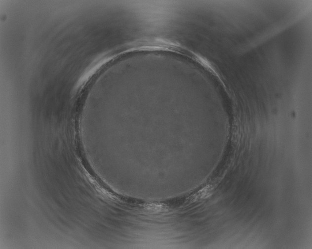 X0000056371456200508291348