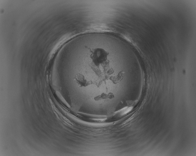 X0000056371459200508291348