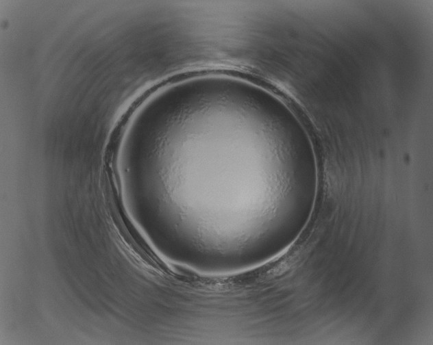 X0000056371460200508291348