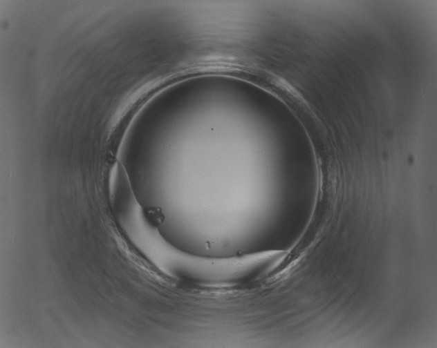 X0000056371461200508291348