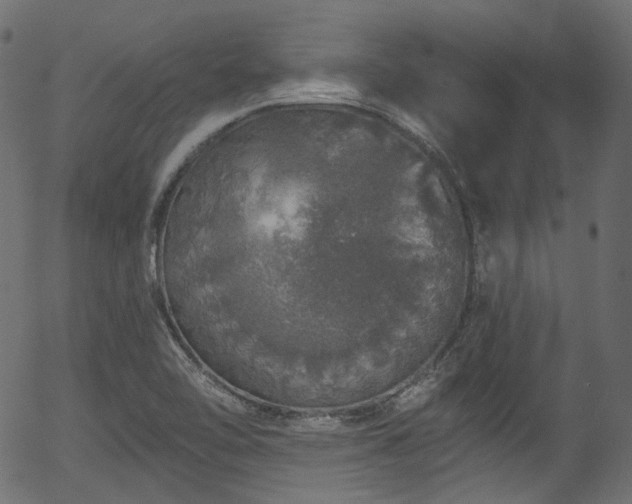 X0000056371462200508291348