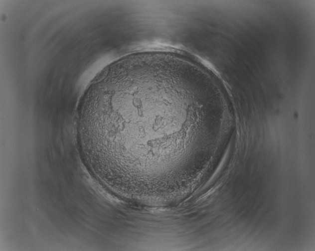 X0000056371463200508291348