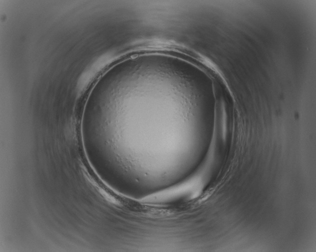 X0000056371464200508291348