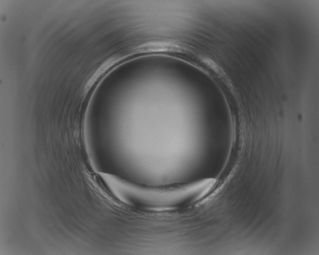 X0000056371465200508291348