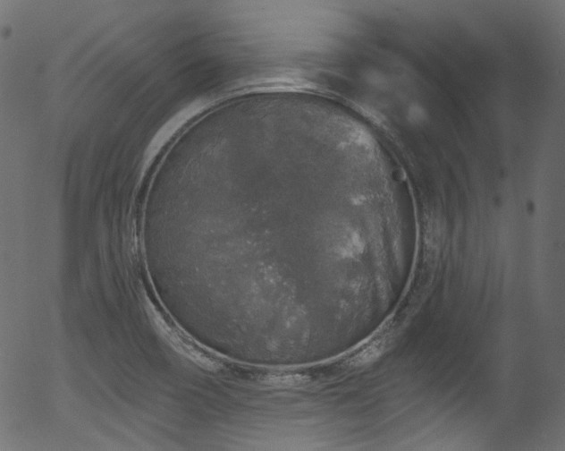 X0000056371466200508291348