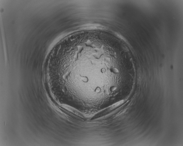 X0000056371467200508291348