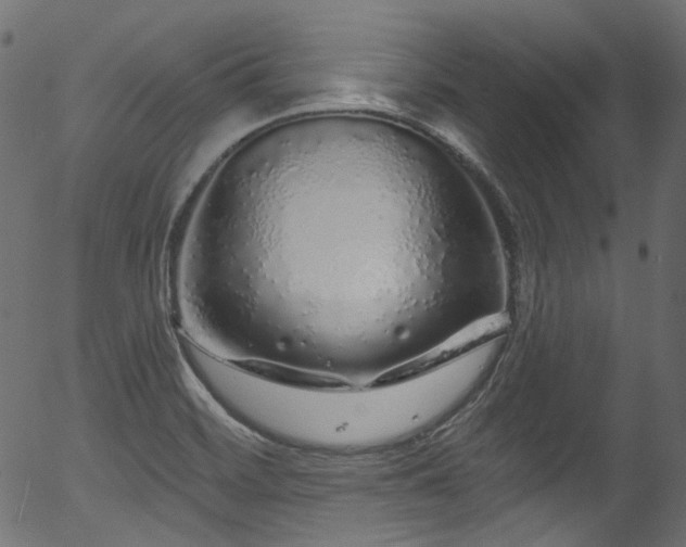 X0000056371468200508291348