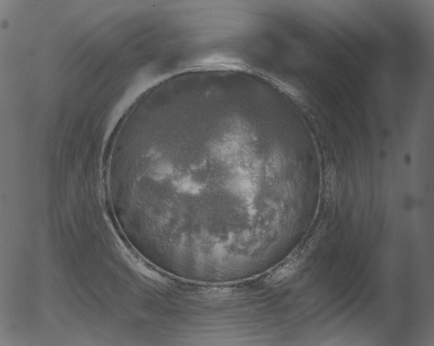 X0000056371470200508291348