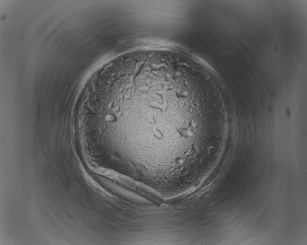 X0000056371471200508291348