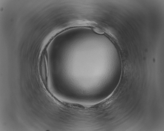 X0000056371472200508291348