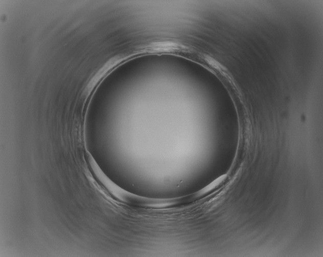 X0000056371473200508291348