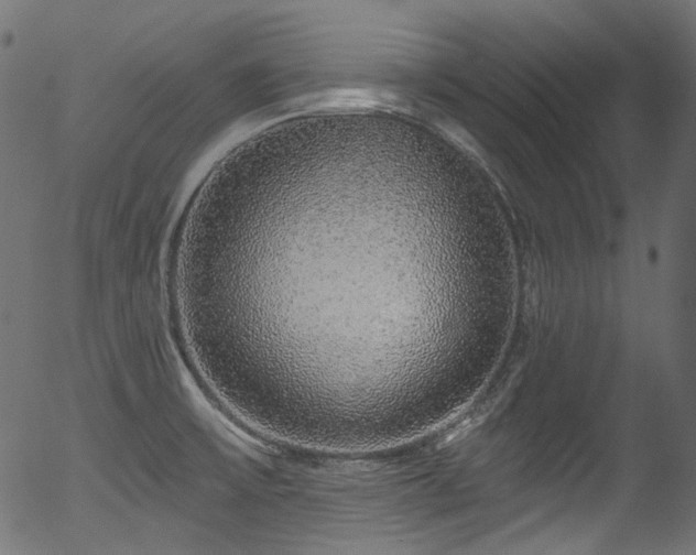 X0000056371475200508291348