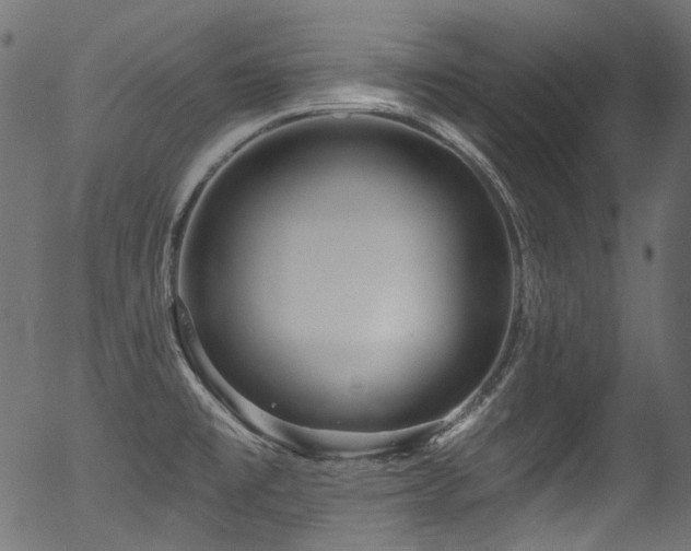 X0000056371477200508291348