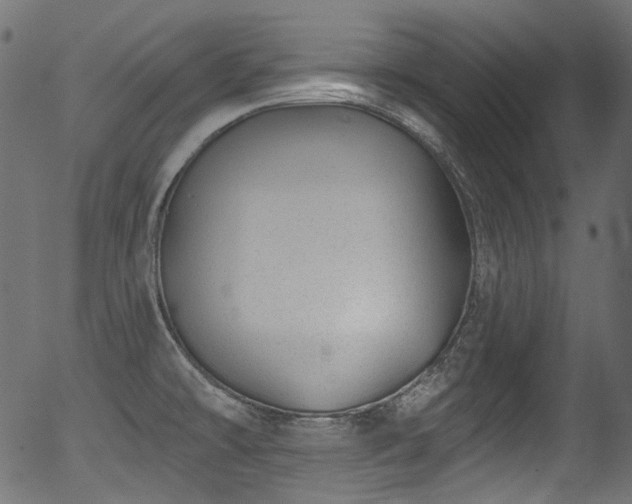 X0000056371478200508291348