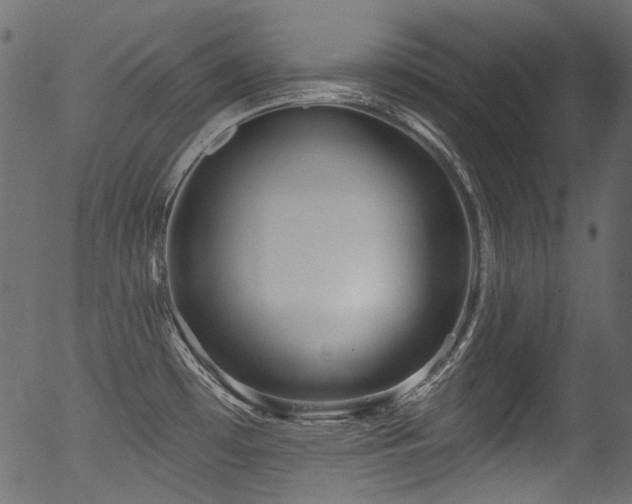 X0000056371481200508291348