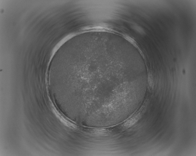 X0000056371482200508291348