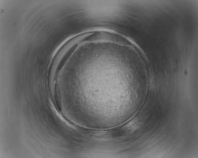 X0000056371484200508291348