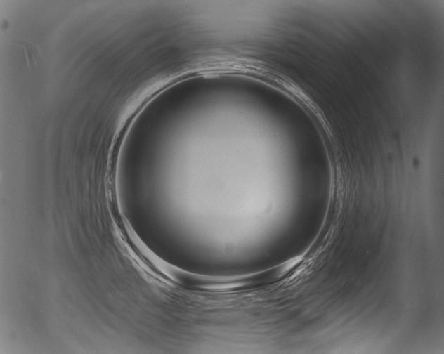 X0000056371485200508291348