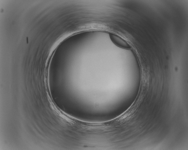 X0000056371486200508291348