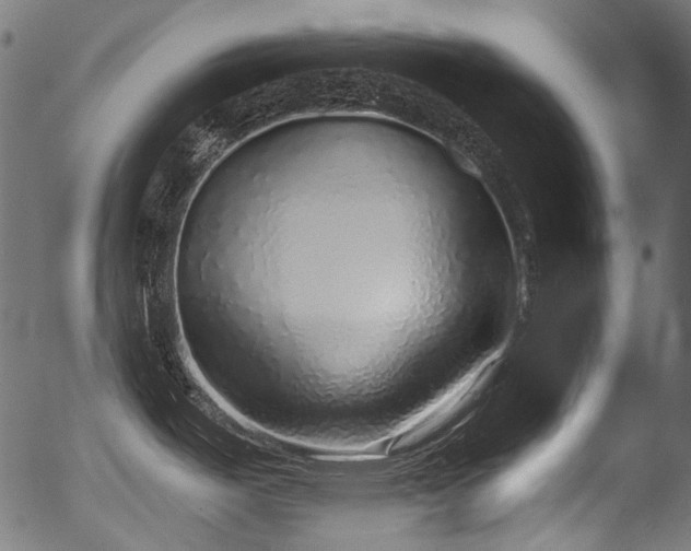 X0000056371487200508291348