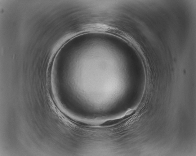 X0000056371488200508291348