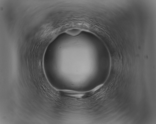 X0000056371489200508291347