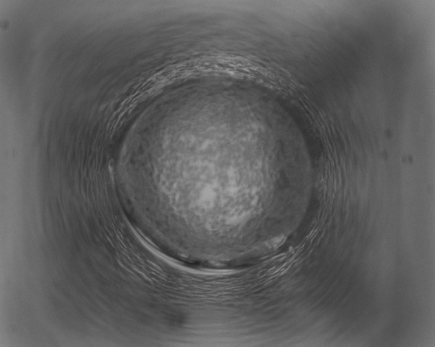 X0000056371490200508291347