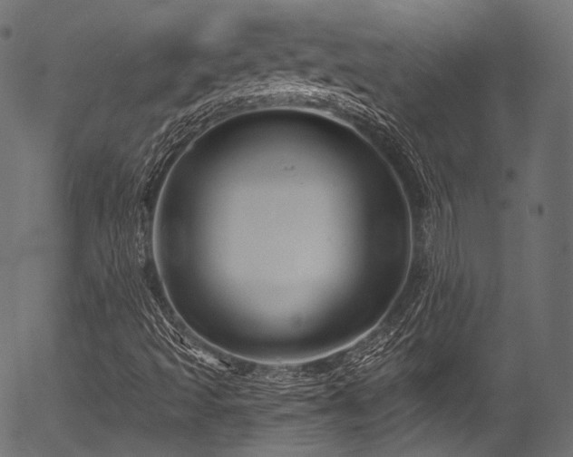 X0000056371493200508291347